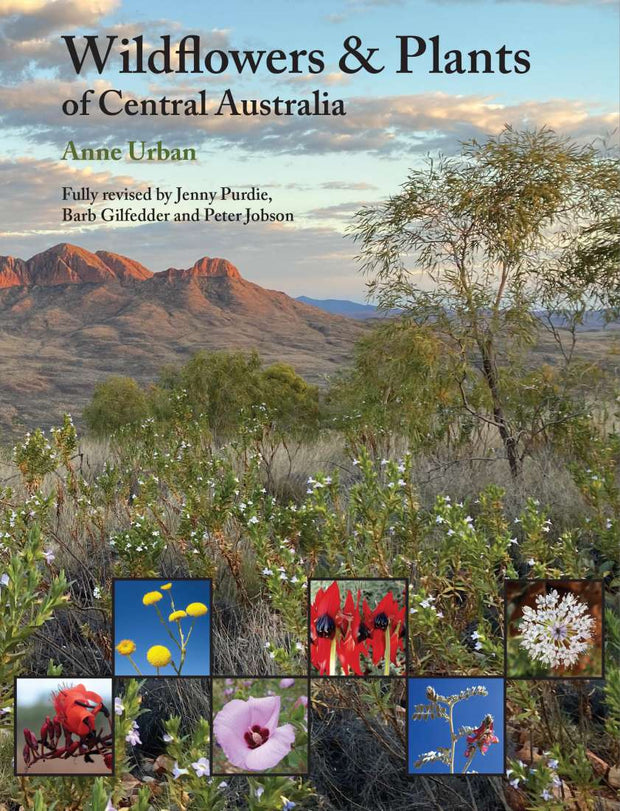 Wildflowers & Plants of Central Australia