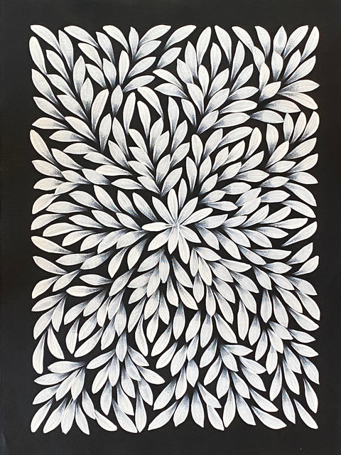 Bush Medicine Leaves by Jacinta Numina #237