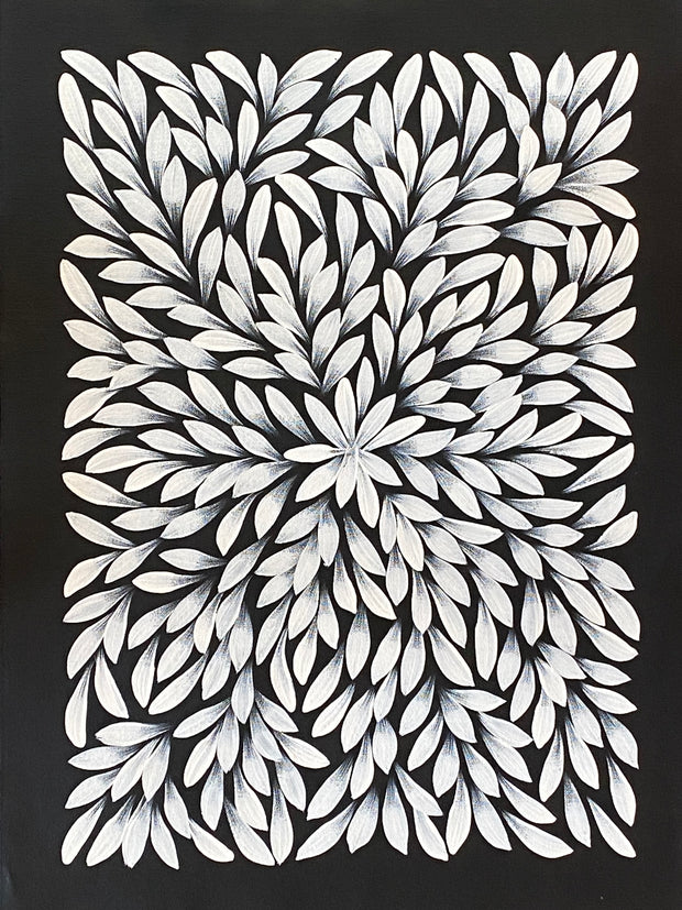 Bush Medicine Leaves by Jacinta Numina #237