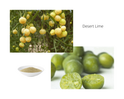 Freeze Dried Desert Lime 30g By The Australian Superfood Company