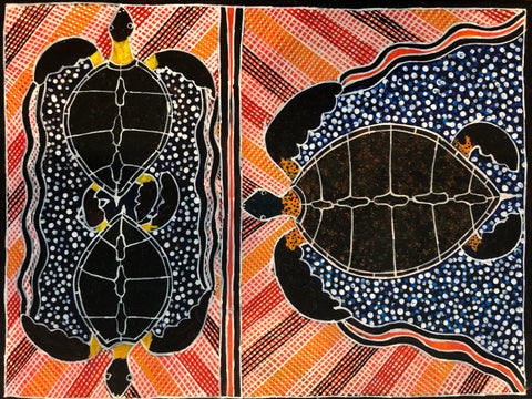 Turtles By Peter Munungurr